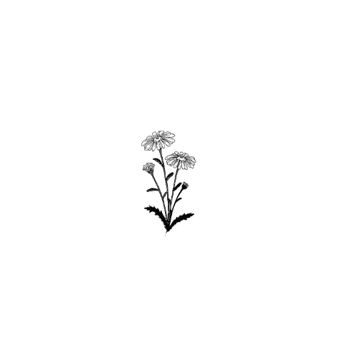 Txsana Botanicals