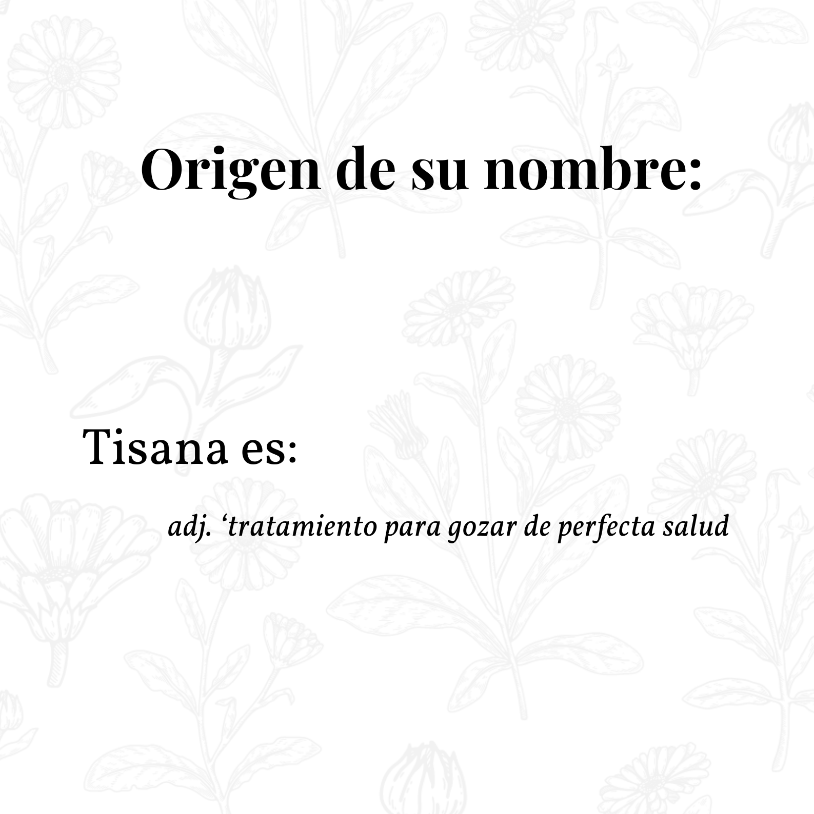 Text on a white background with decorative elements