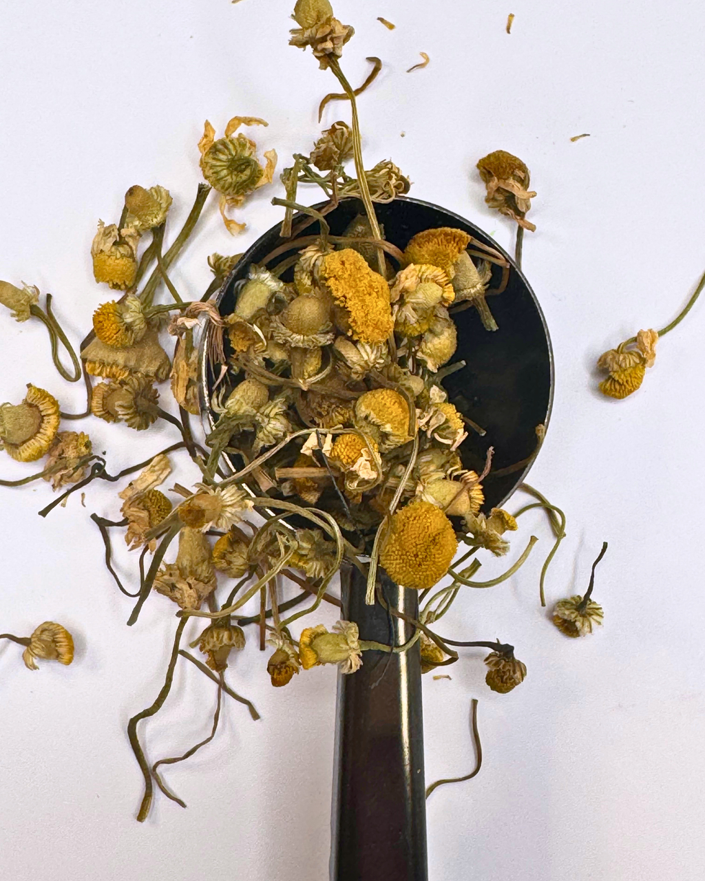 Sleeping Beautea - Loose Leaf